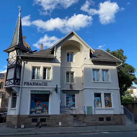 公寓 Le Cocoon Strasbourgeois 斯特拉斯堡